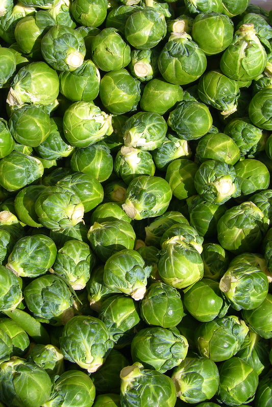 Brussels Sprout