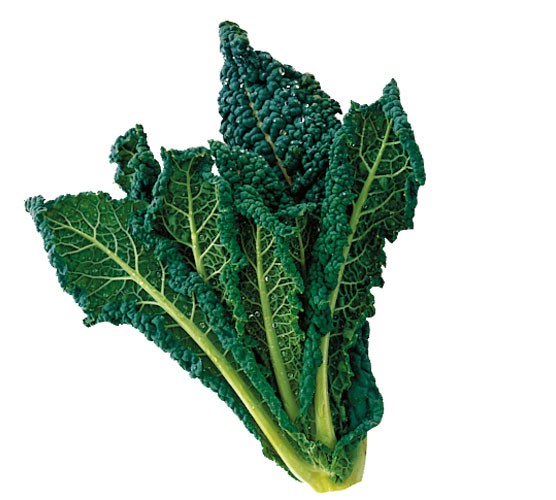 Cabbage - Black / Tuscan (Cavolo Nero)