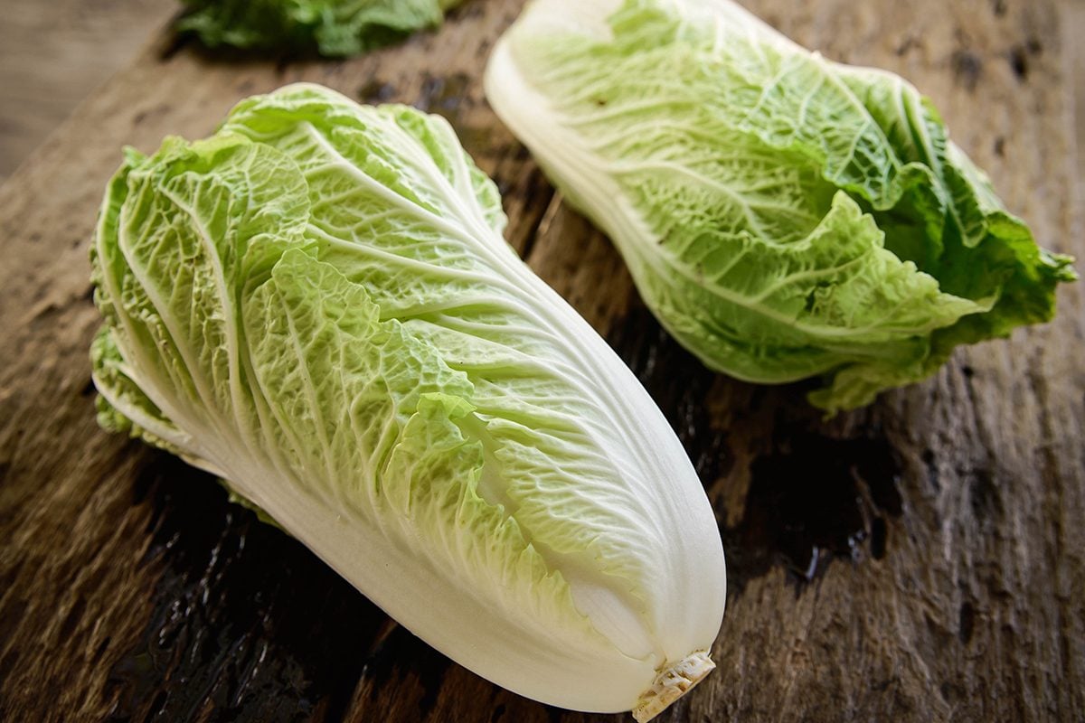 Cabbage - Chinese