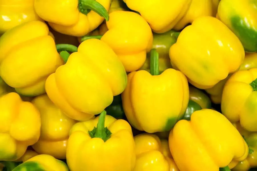 Capsicums - Yellow