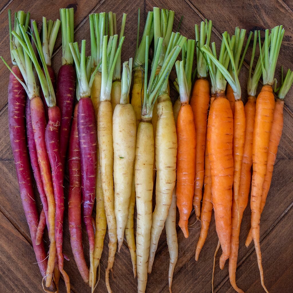 Carrots - Mixed