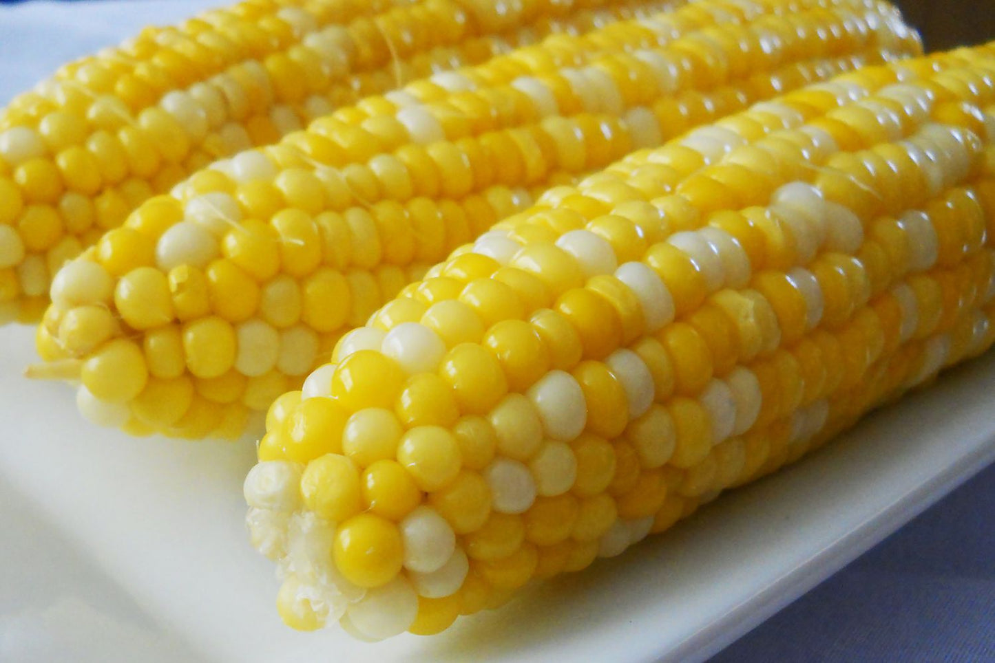 Corn - Sweet