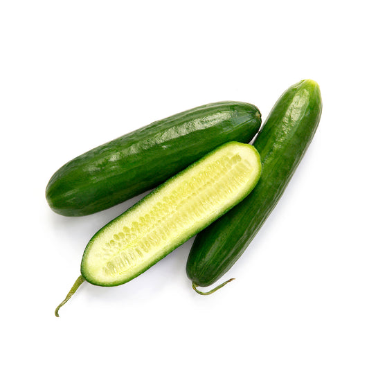 Cucumber - Lebanese