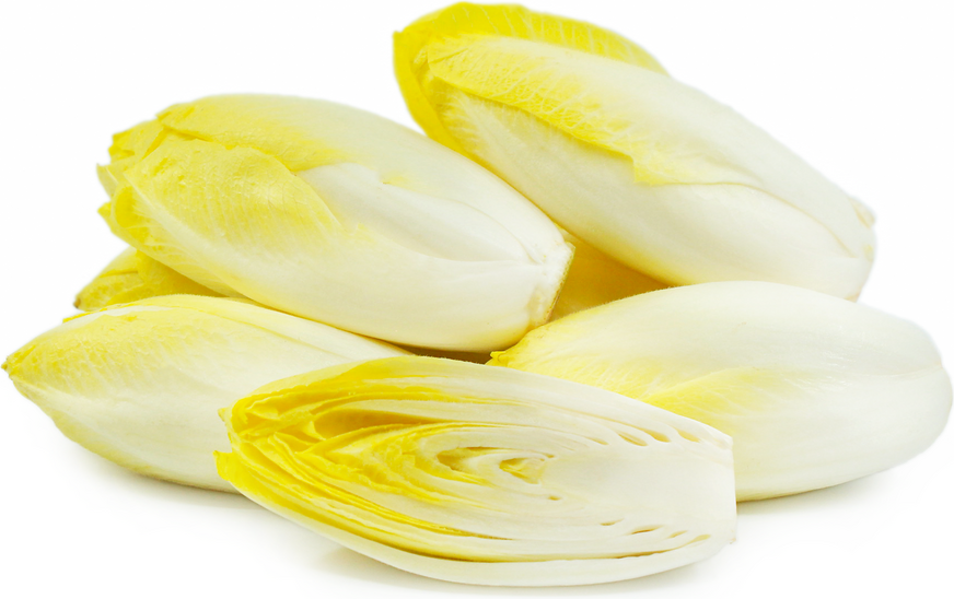 Lettuce - endive