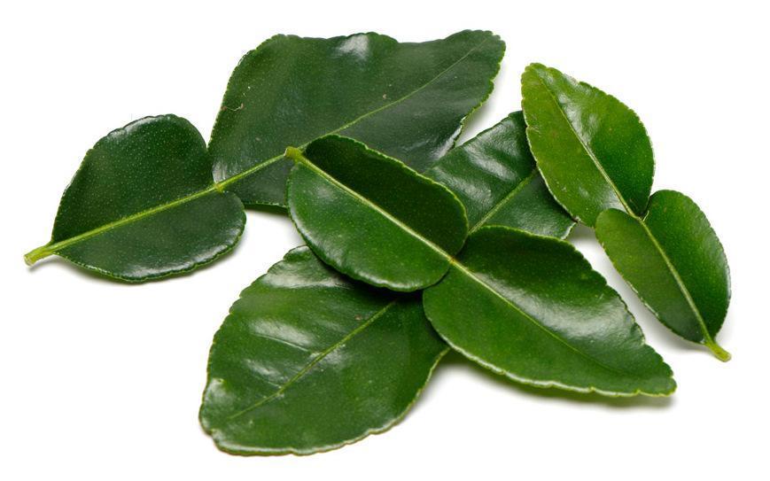 Lime Leaves