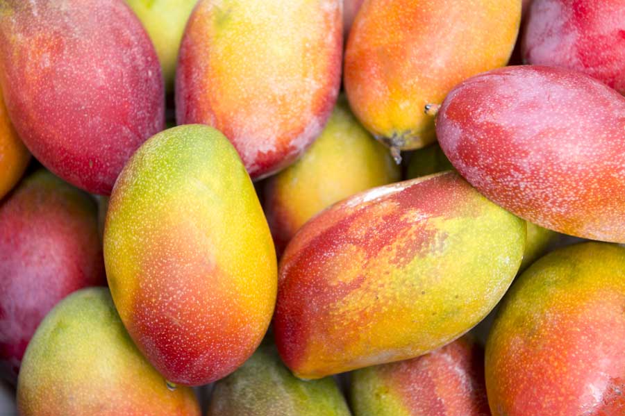 Mangoes - Large