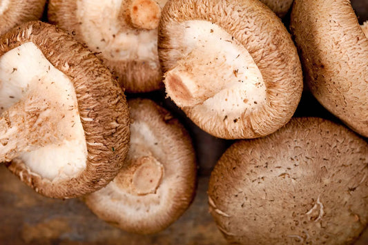 Mushrooms - Shiitake