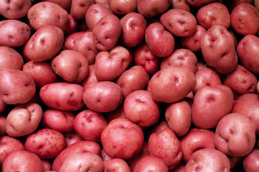 Potatoes - Red