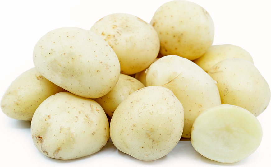 Potatoes - White