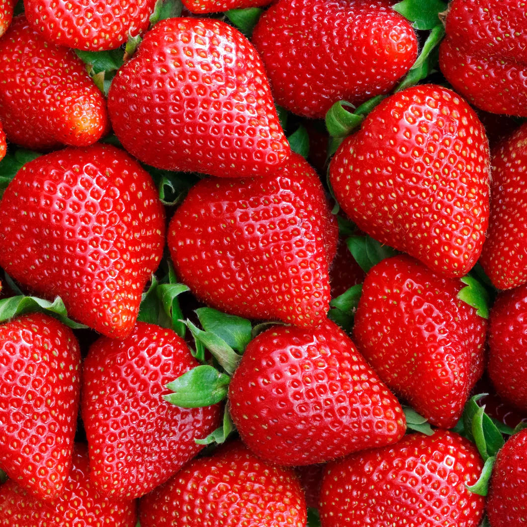 Strawberries - Pn