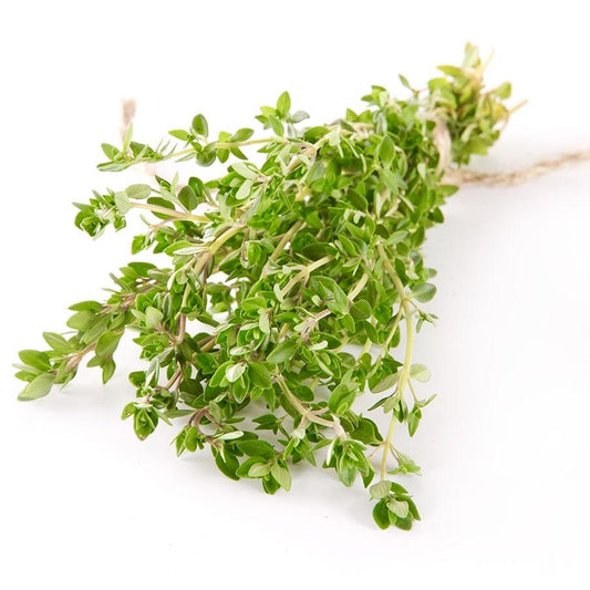 Thyme - Lemon