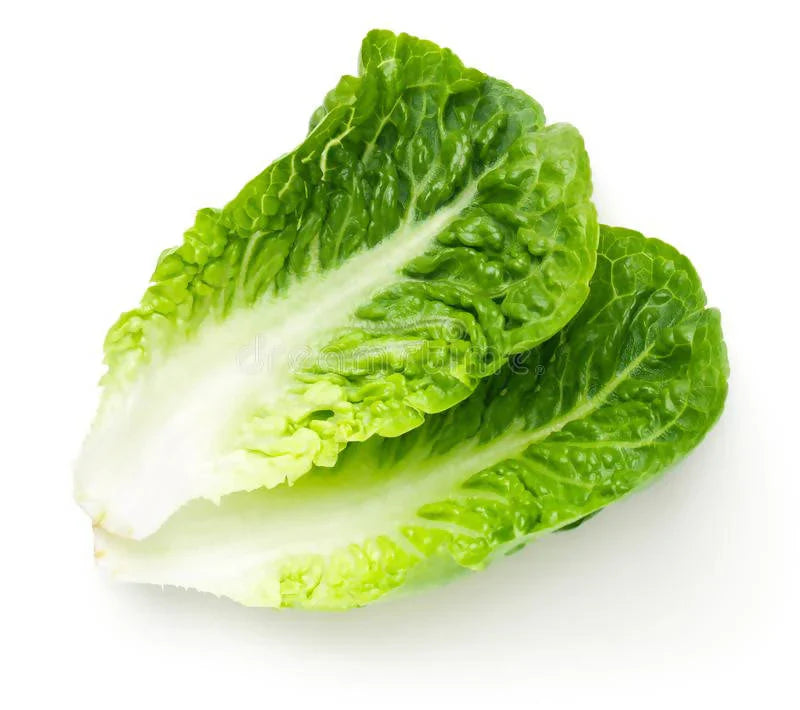 Lettuce - Baby Cos